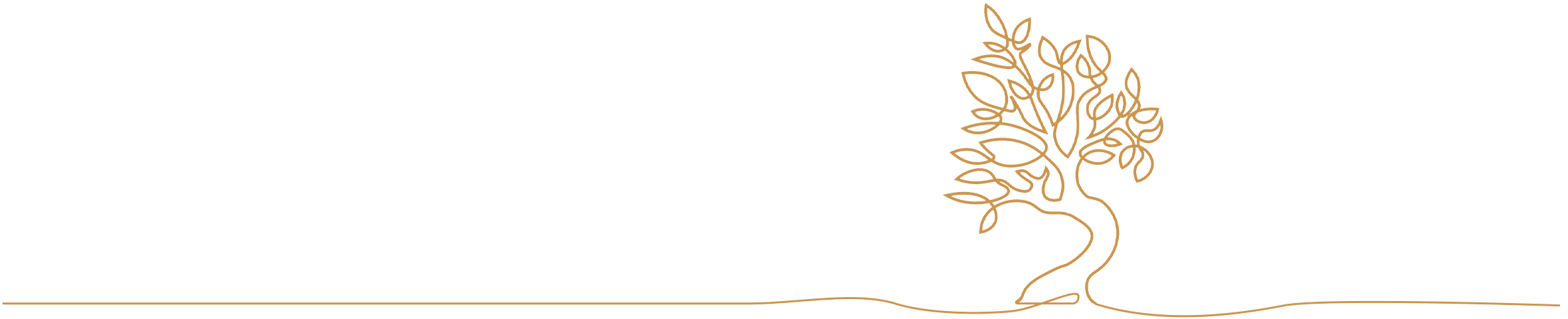 Tree-with-extra-lines - Madera Apartments Madera logo Tree with extra lines