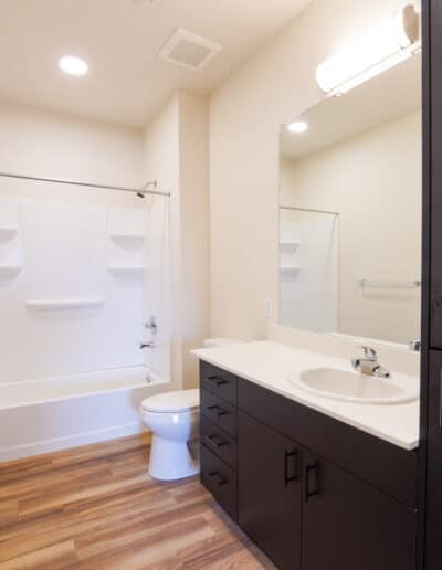 Luxury apartment bathroom with vanity & shower