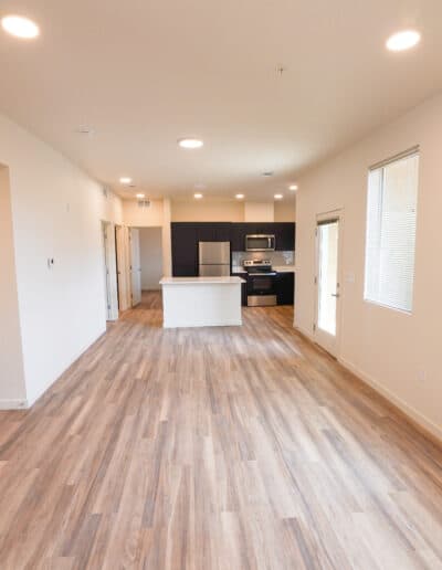 Luxury apartment living room & kitchen