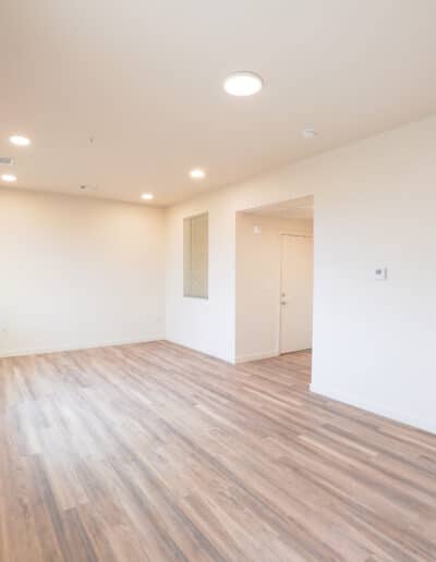 Luxury apartment living room